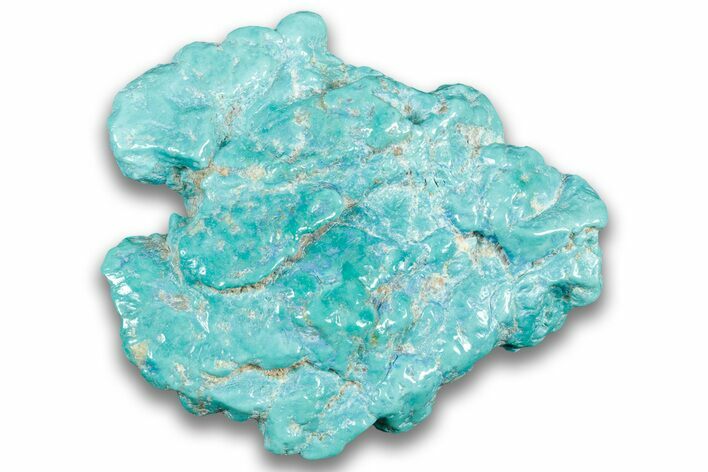 Polished Chilean Turquoise ( grams) Nugget #324114